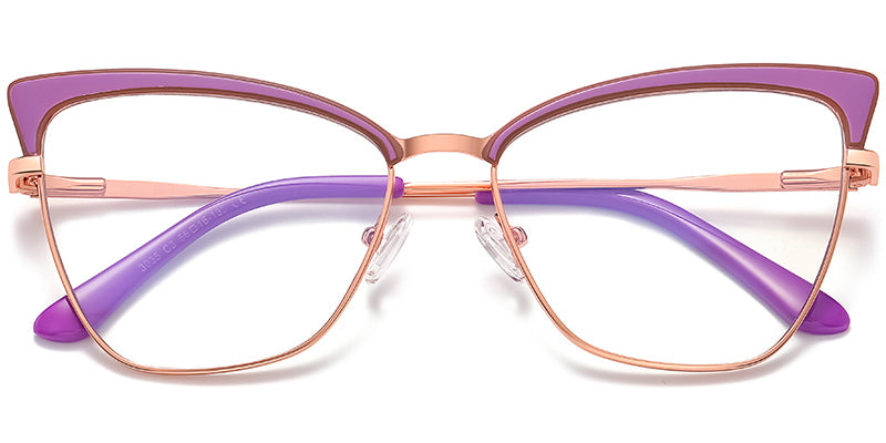 Lupins | Vibrant Frame